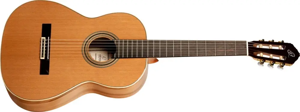 Ortega R20GRG