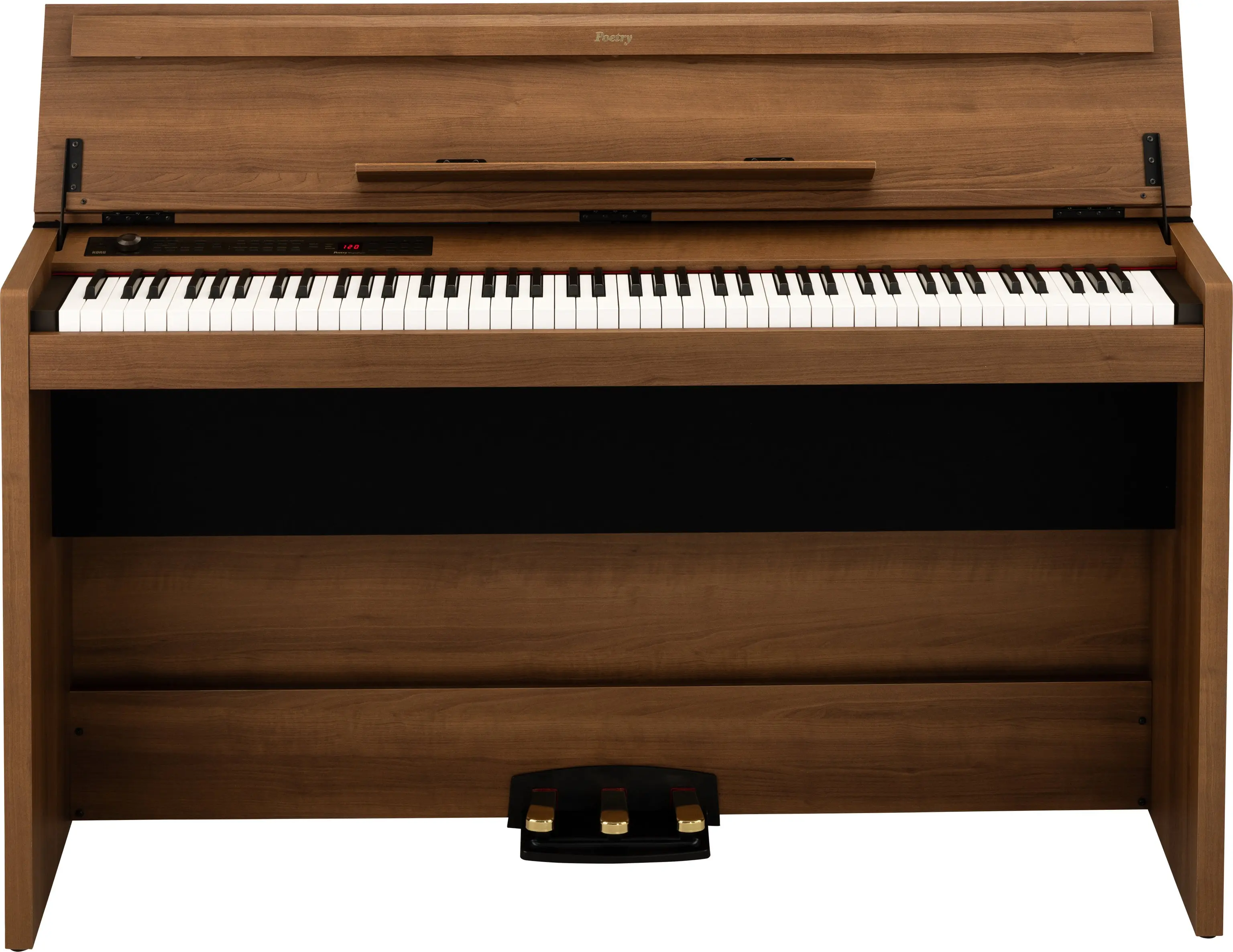 Korg Poetry Magnifique