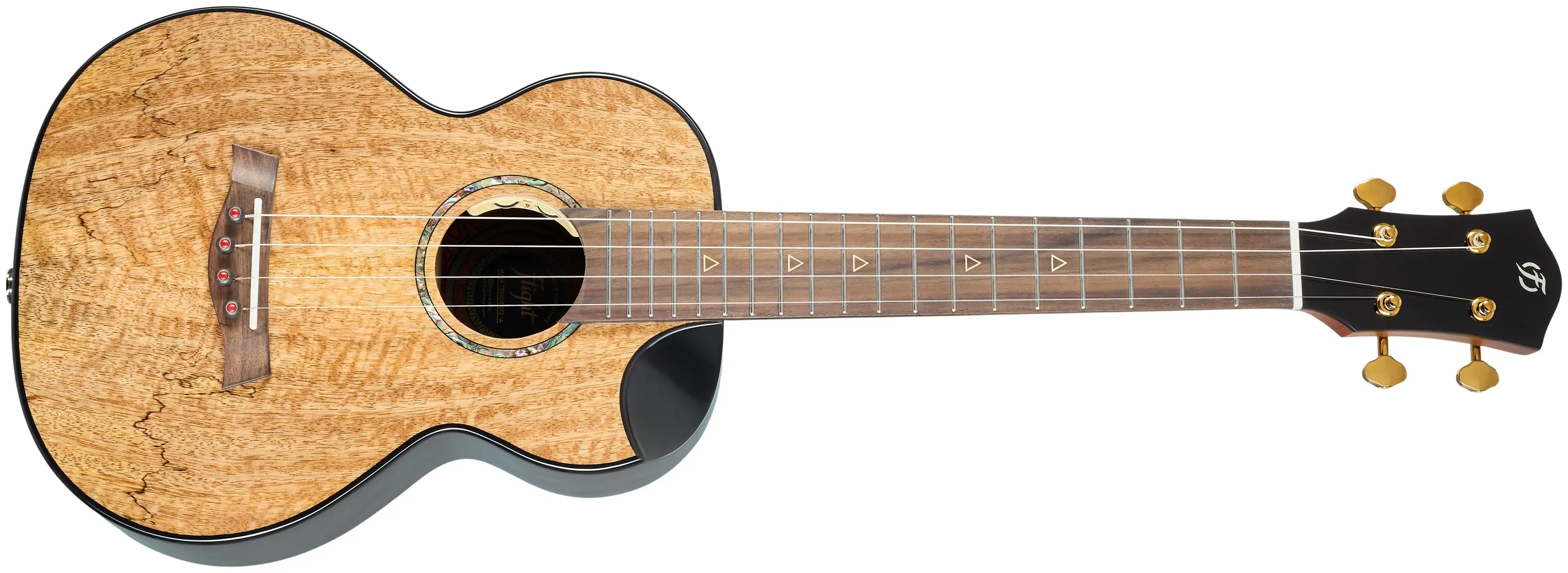 Flight MAIA TENOR EQ-A