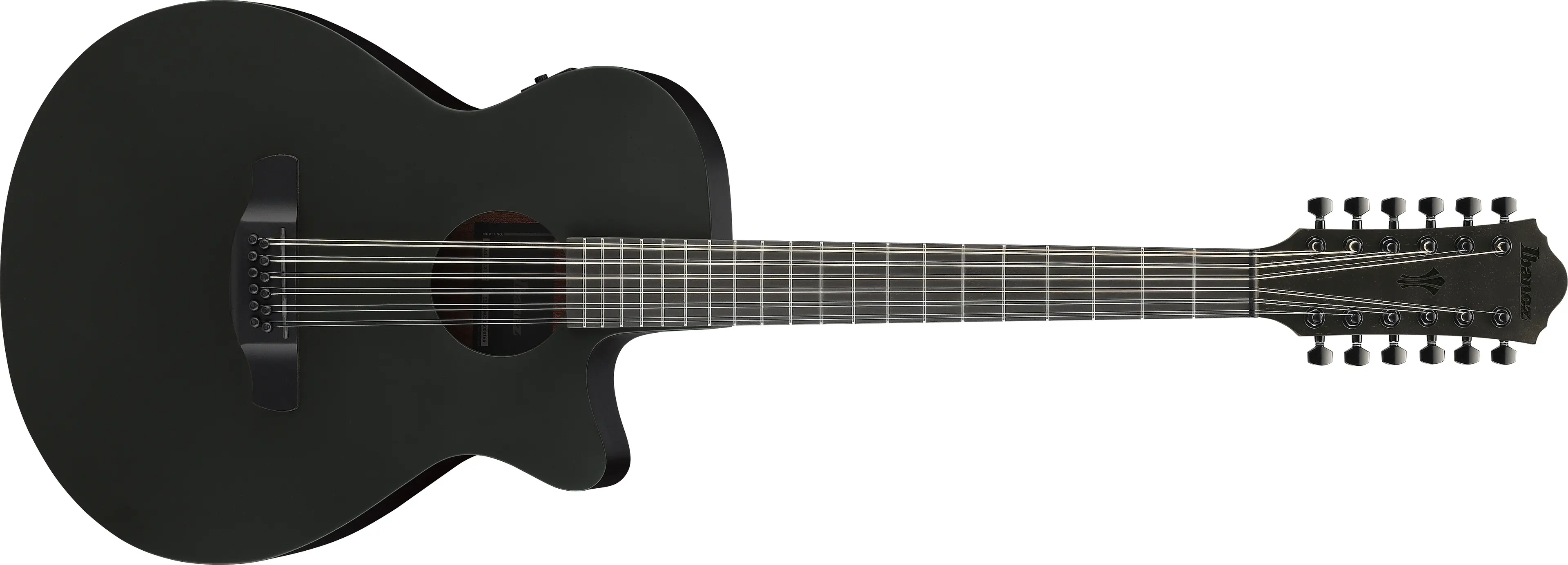 Ibanez AEG1221-BOT