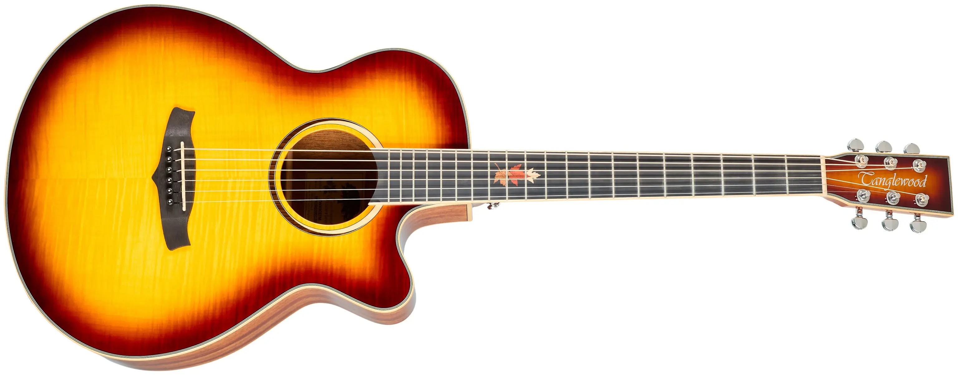 Tanglewood TWX4CE FM