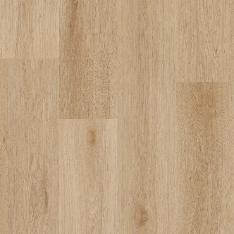 BiClick Acoustic CBCA 41582 Monument Oak