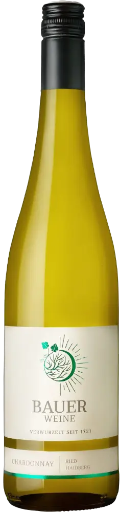 Weingut Norbert Bauer Bauer Chardonnay Ried Haidberg BIO 2023