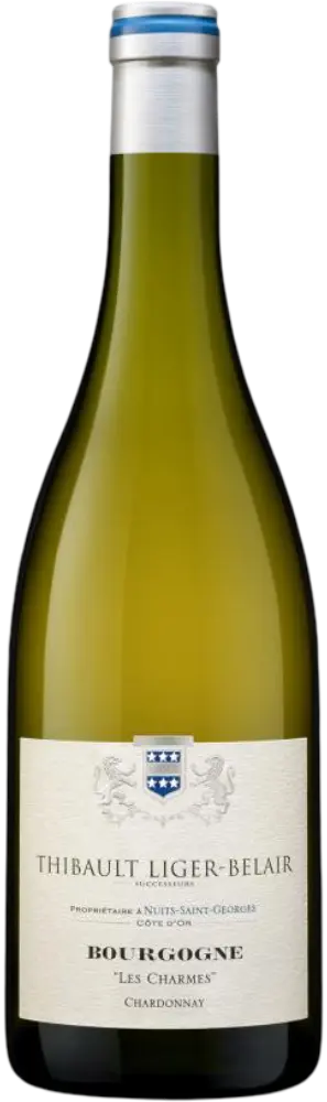 Domaine Thibault Liger-Belair Thibault Liger-Belair Bourgogne Chardonnay Les Charmes 2021