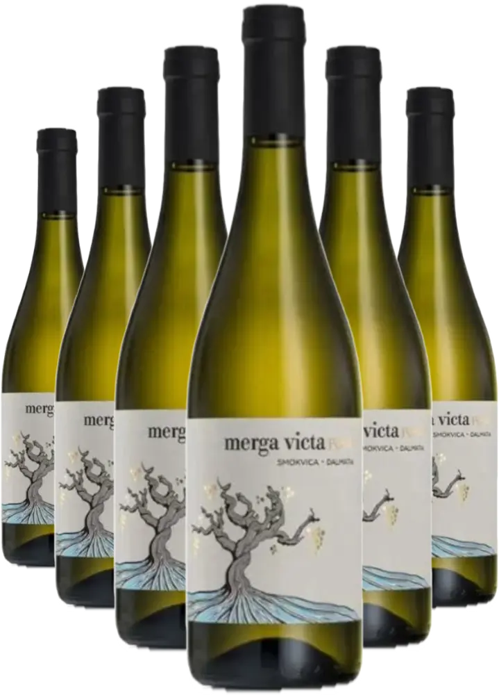 Black Island Winery Set Black Island Pošip 4+2