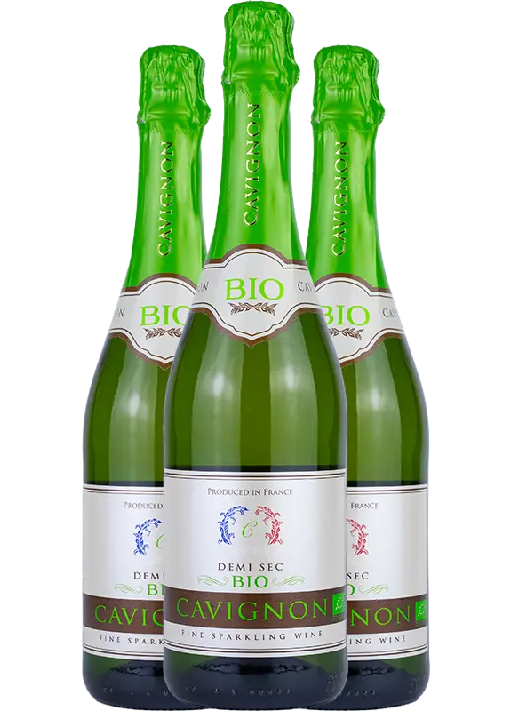 Castel Freres Castel Freres Cavignon Sparkling Demi sec BIO 2+1