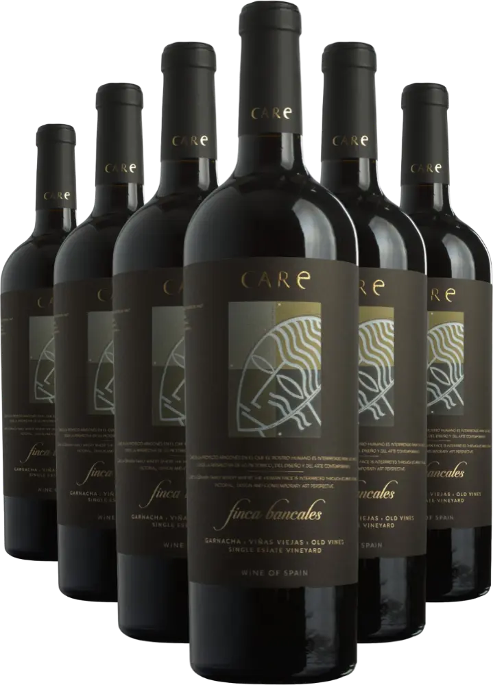 Bodegas Aňadas Set Care Bancales Reserva Garnacha 4+2