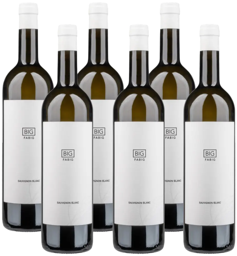 Fabig Fabig BIG Sauvignon Collection 2017-2023