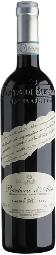 Sansilvestro Costa di bussia Barbera d'alba campo del gatto 2022