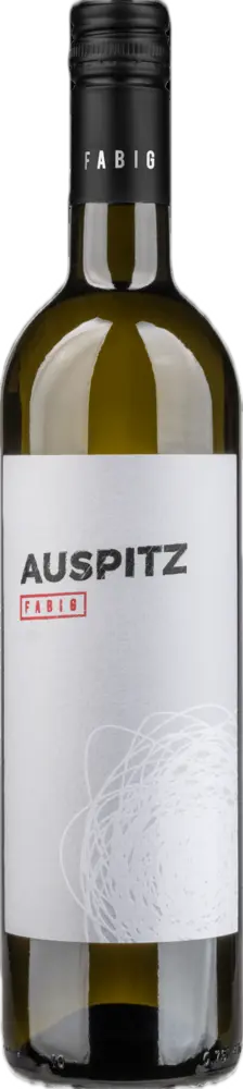 Fabig Fabig Auspitz 2023