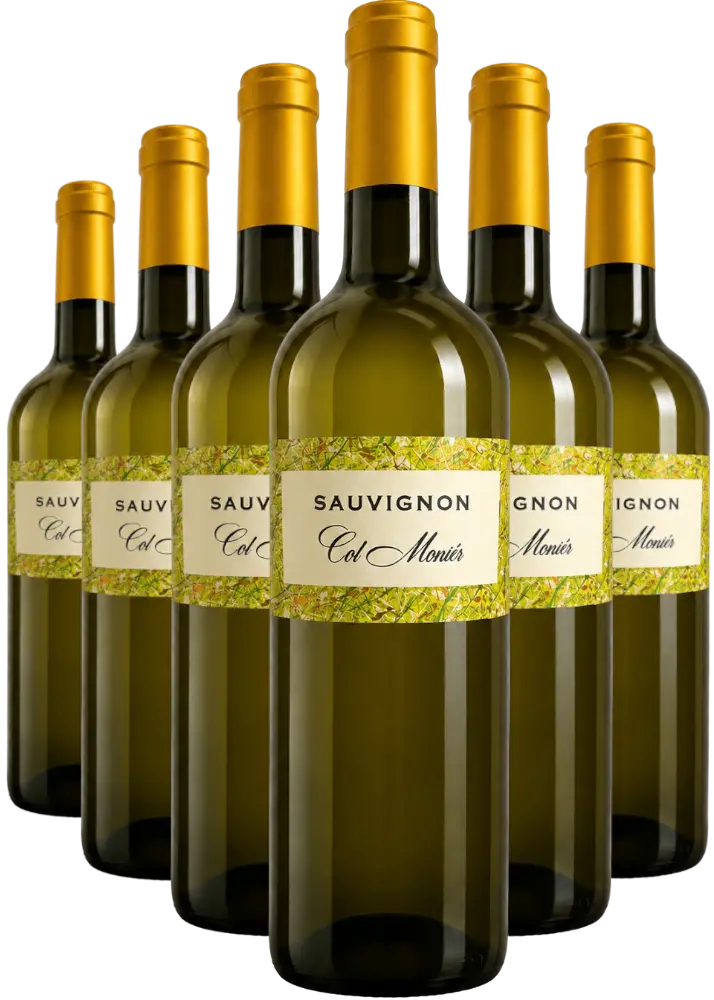 Col Monier Set Col Monier Sauvignon Blanc 4+2