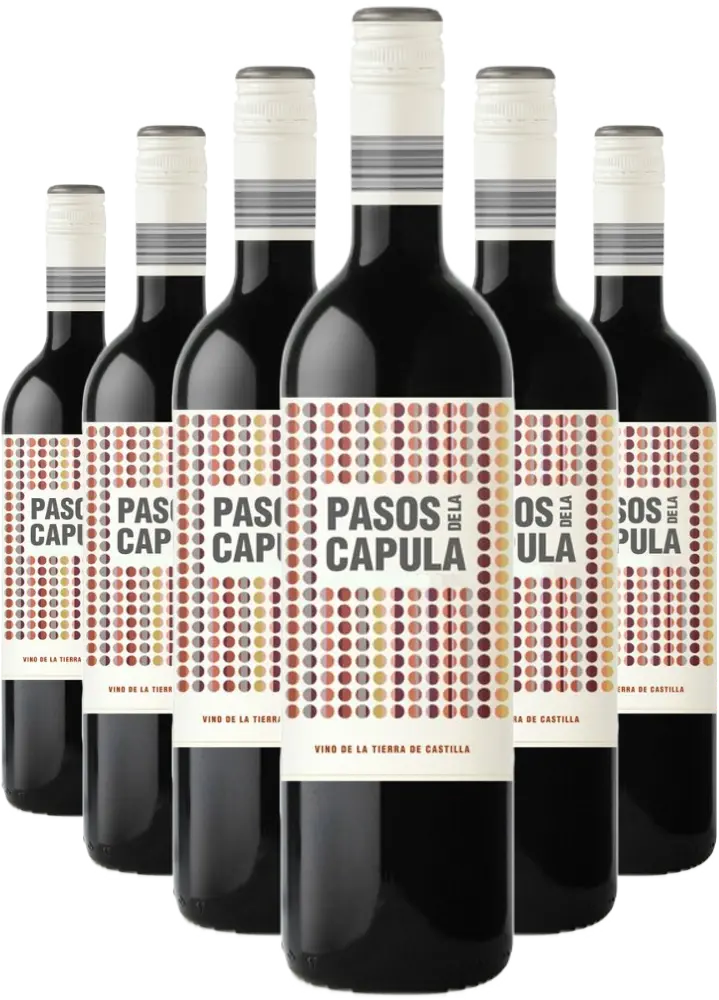 Bodegas Abanico Set Abanico Syrah 4+2