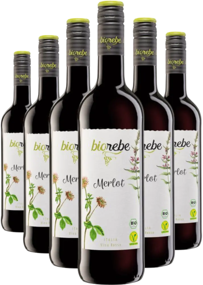Biorebe Set Biorebe Merlot 4+2