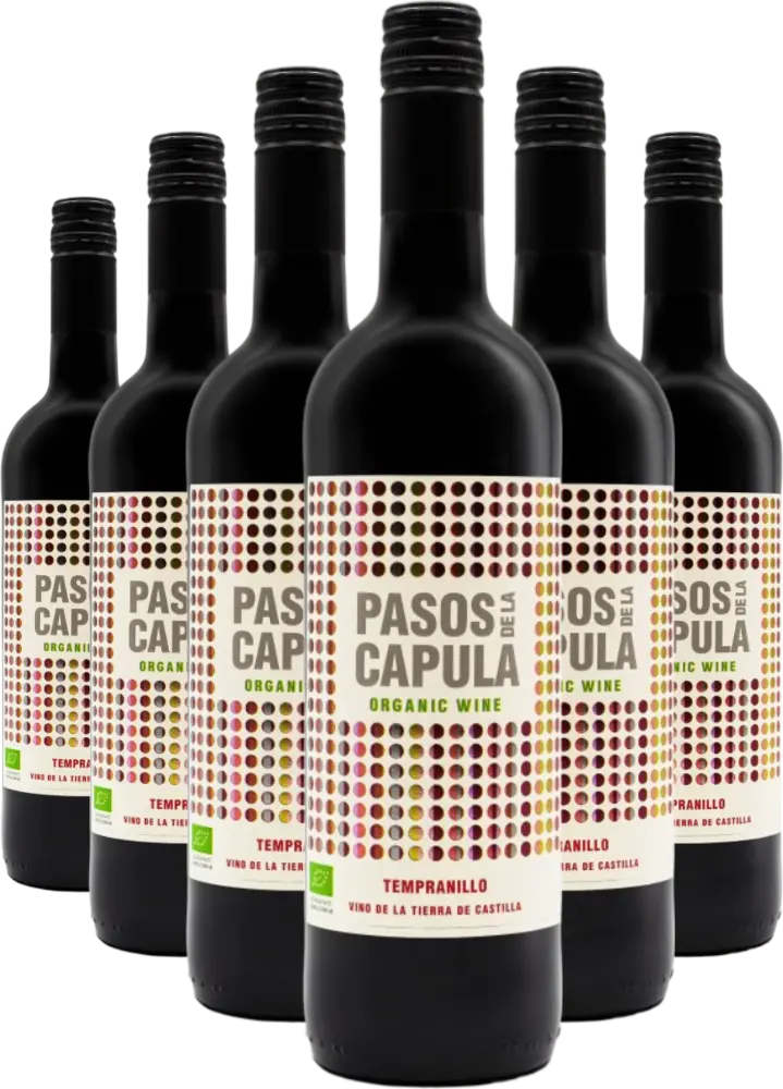 Bodegas Abanico Set Abanico Tempranillo 4+2