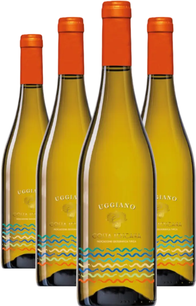 Azienda Uggiano Set Uggiano Costa Toscana Cuveé 2025 IGT 3+1