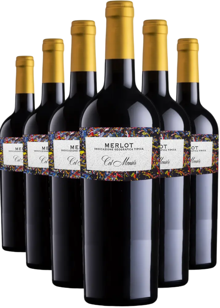 Col Monier Set Col Monier Merlot 4+2