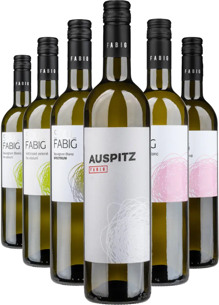 Fabig Set Fabig Degustační