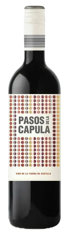 Bodegas Abanico Abanico Pasos de la Capula Syrah 2022