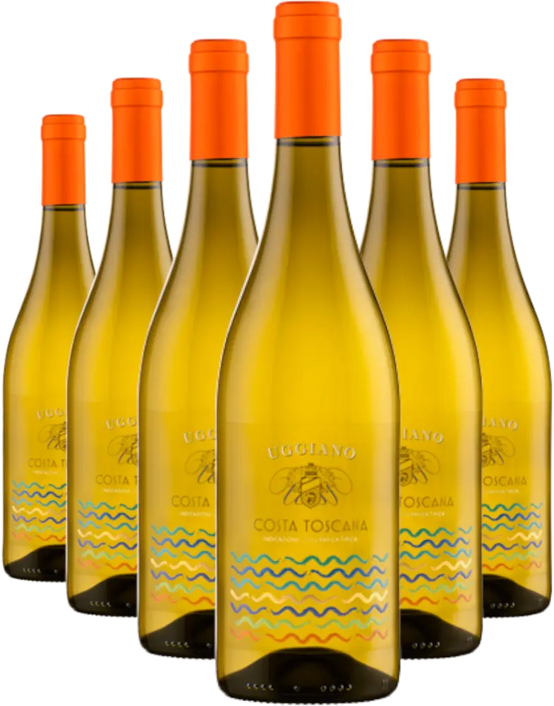 Azienda Uggiano Set Uggiano Costa Toscana Cuveé 2025 IGT 4+2