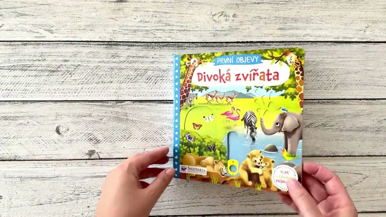 Náhled videa