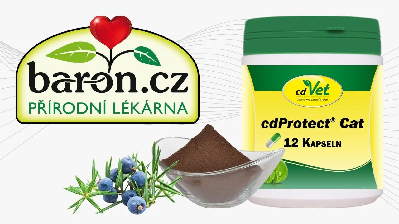 Náhled videa