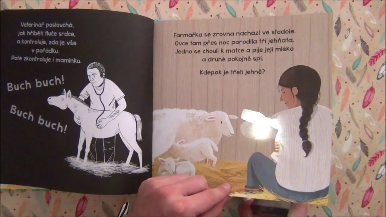 Náhled videa