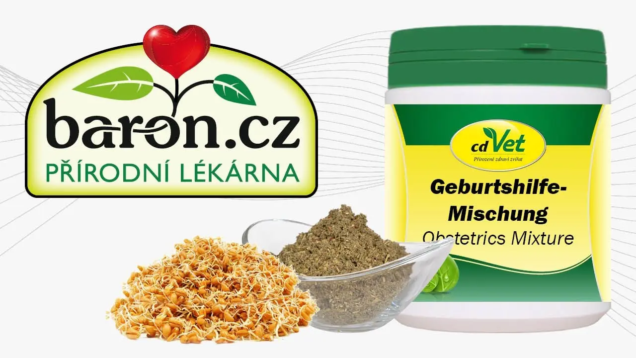 Náhled videa