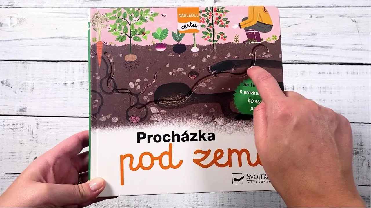 Náhled videa