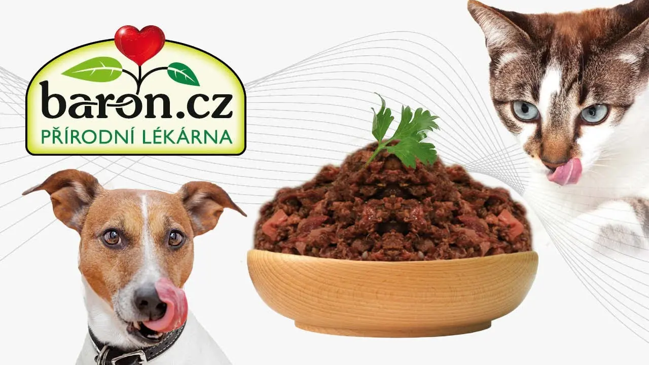 Náhled videa