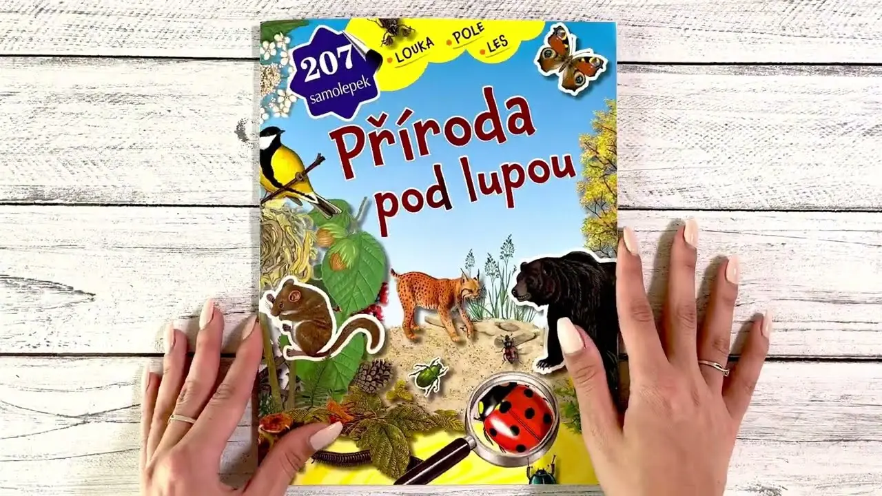Náhled videa