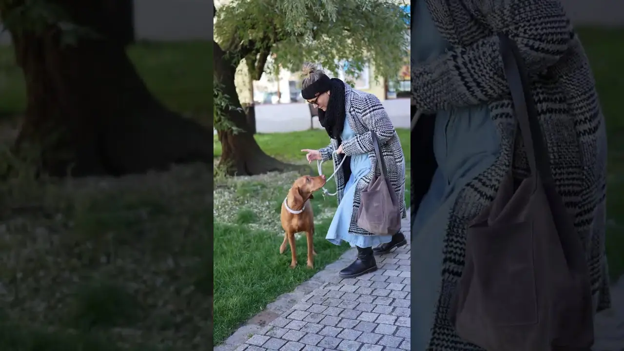 Náhled videa