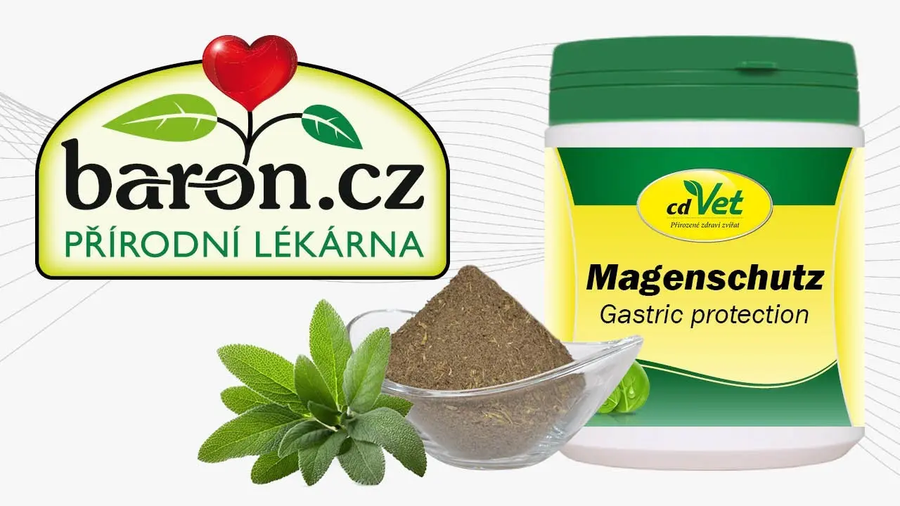 Náhled videa