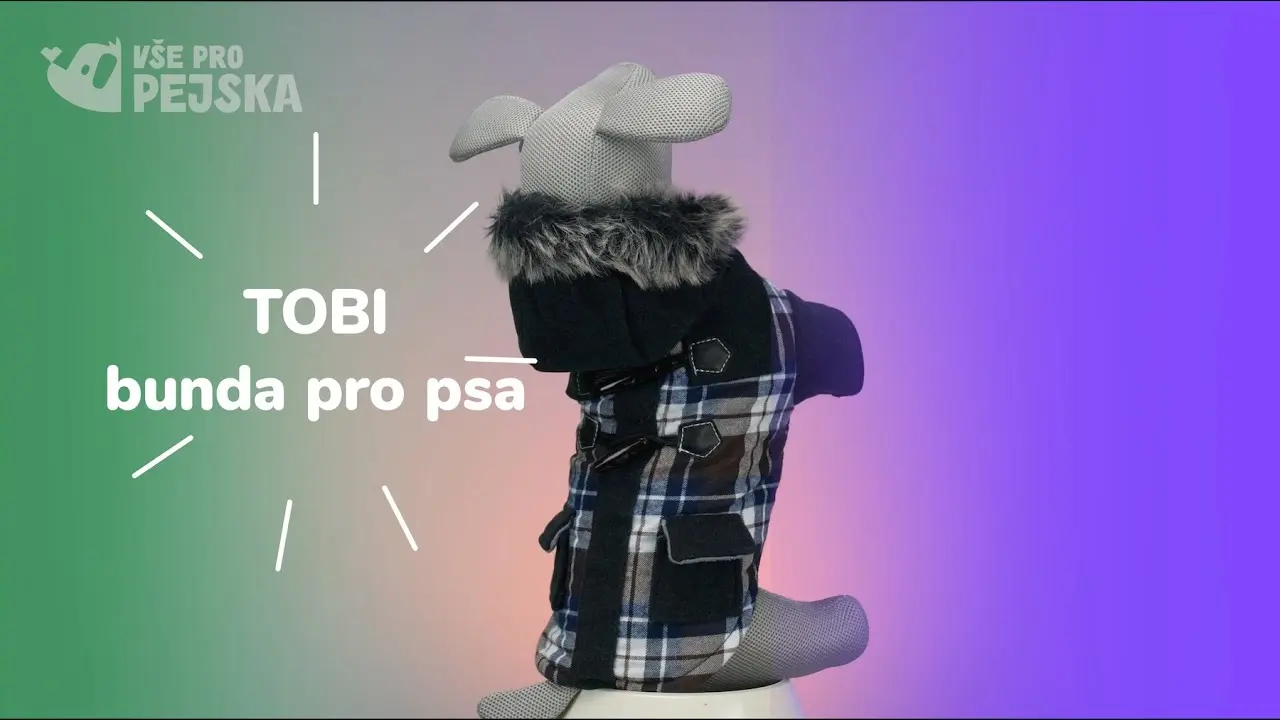 Náhled videa