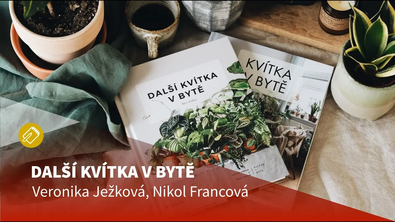 Náhled videa