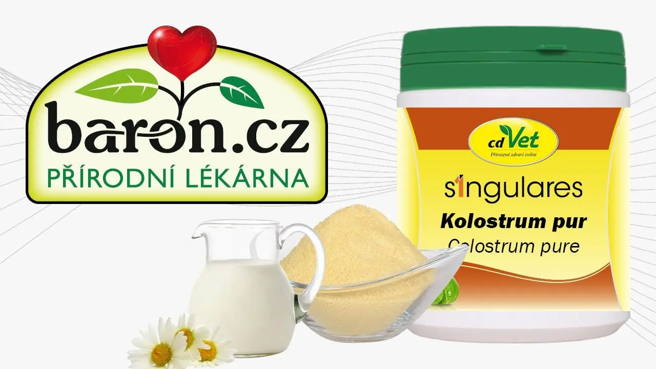 Náhled videa