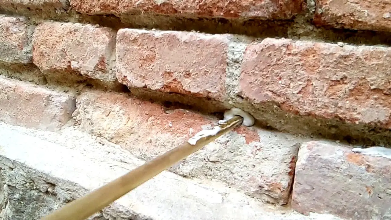 Náhled videa