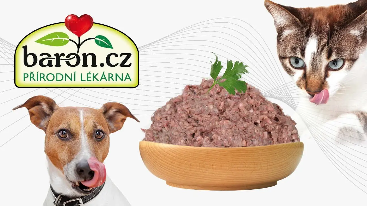 Náhled videa