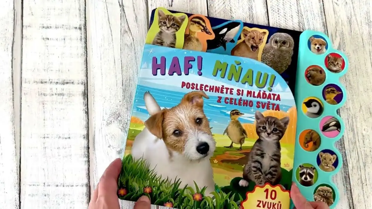 Náhled videa