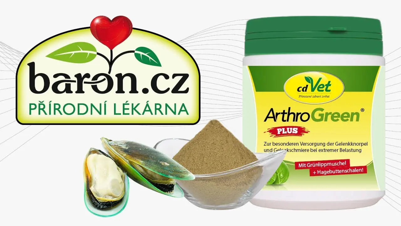 Náhled videa