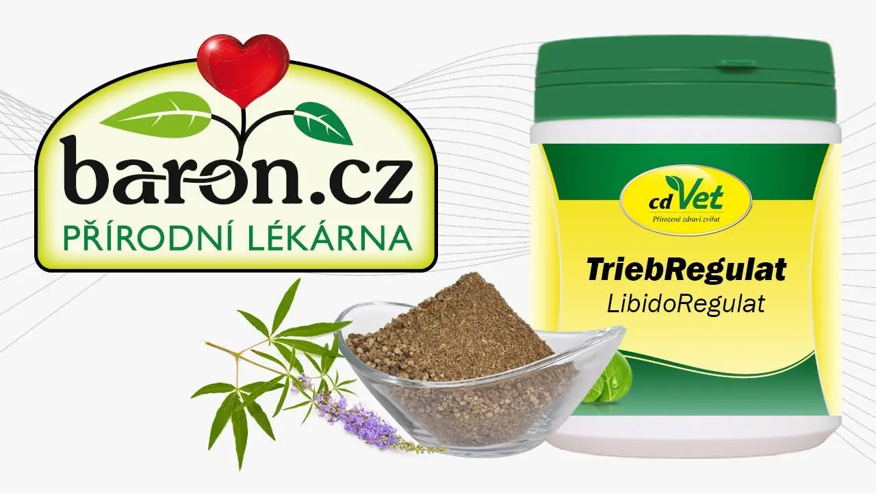 Náhled videa