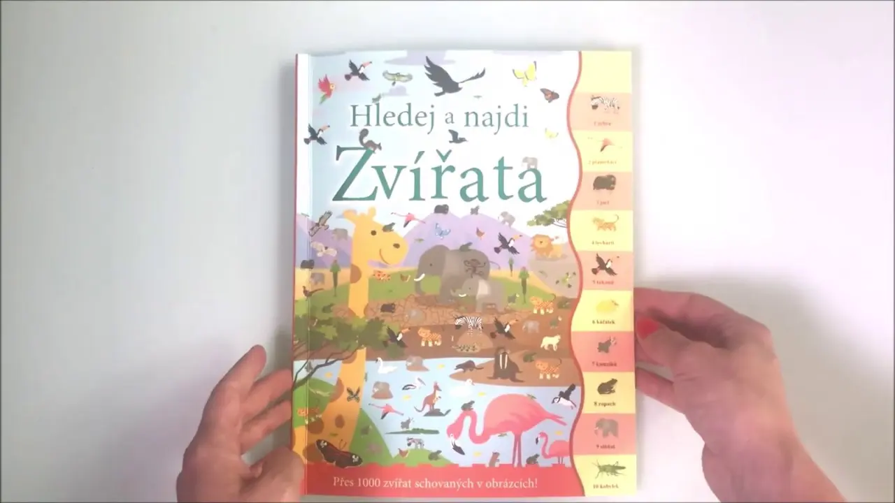 Náhled videa