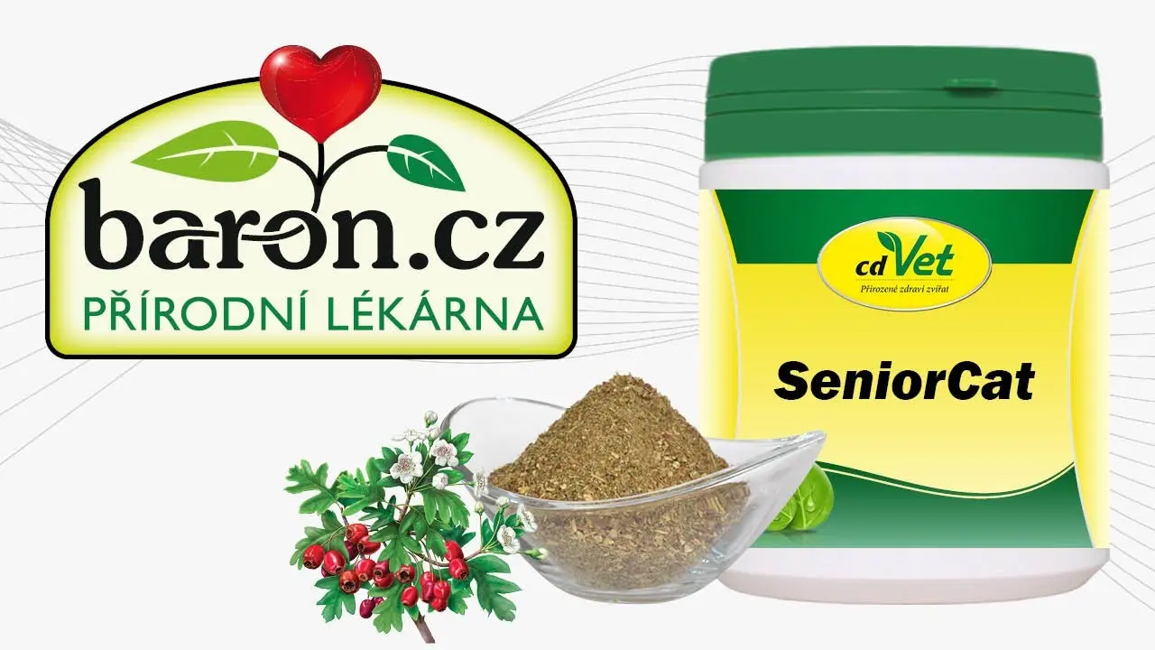 Náhled videa