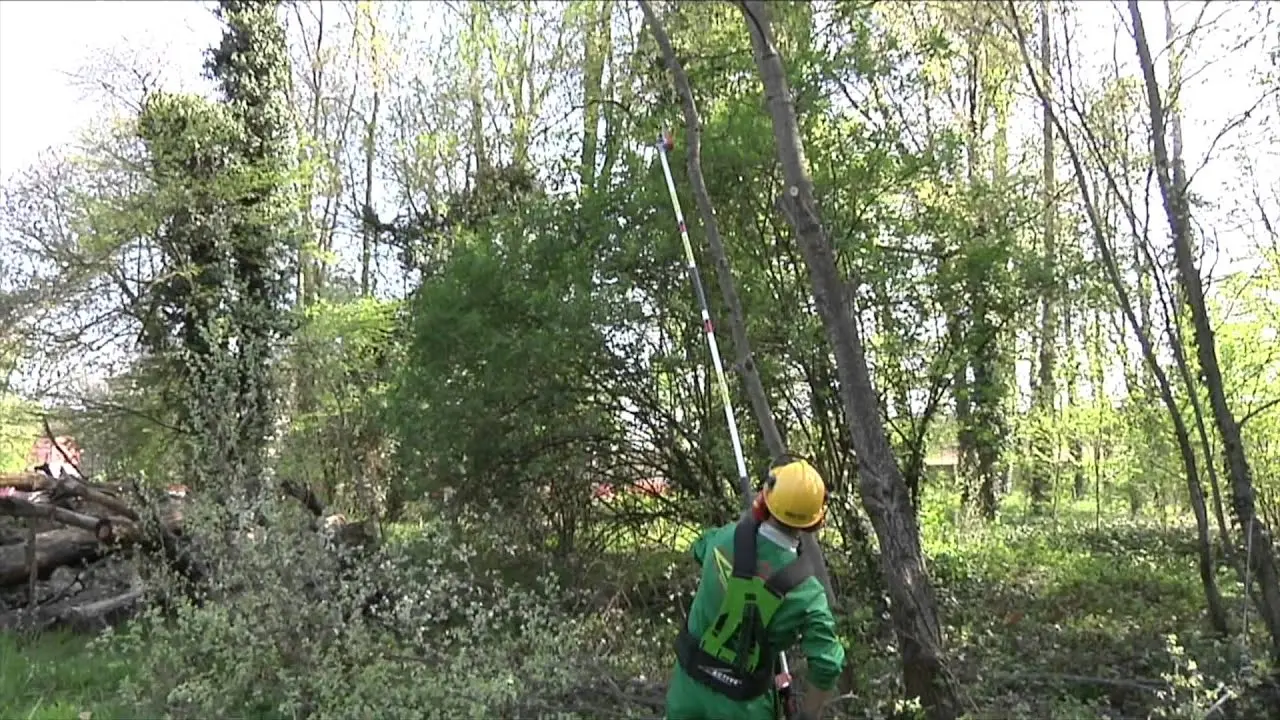 Náhled videa