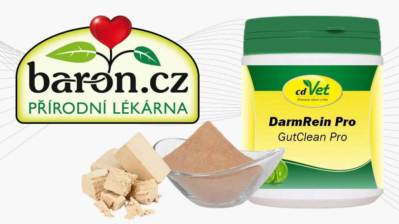 Náhled videa