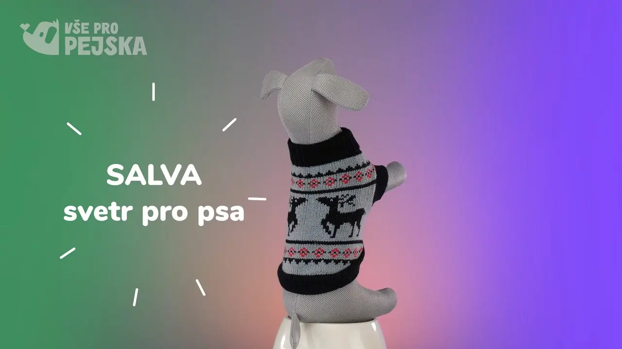 Náhled videa