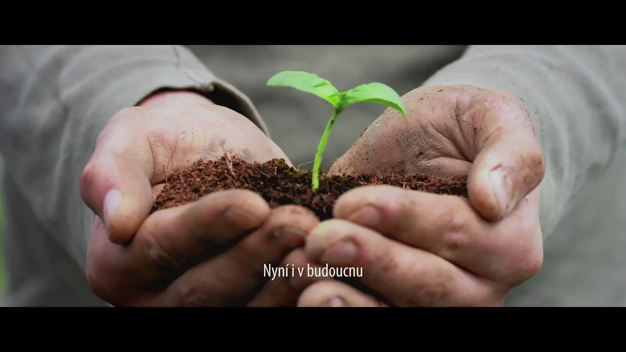 Náhled videa