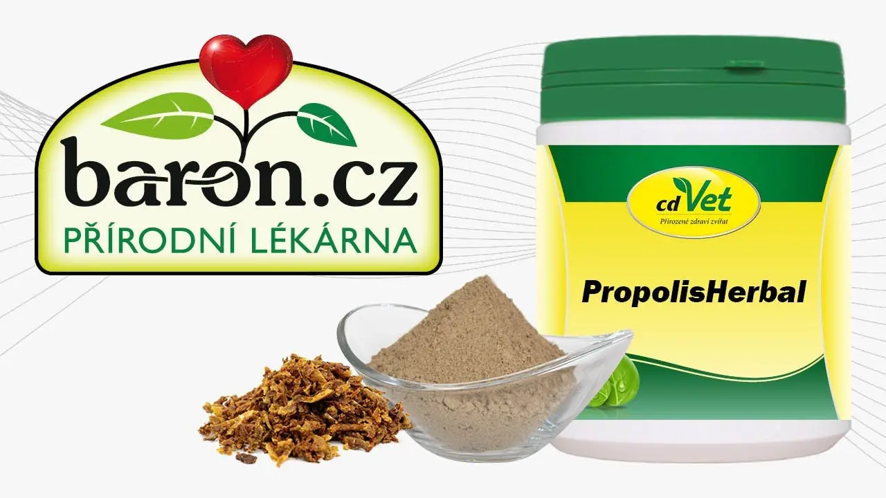 Náhled videa