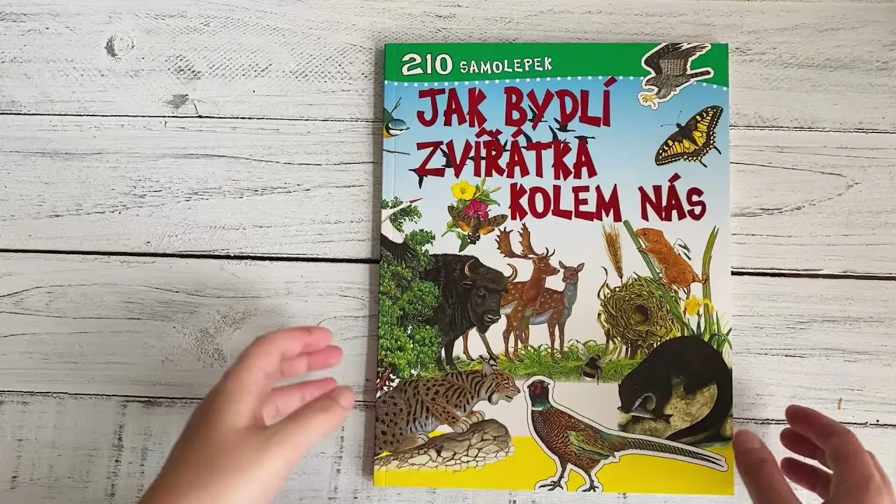 Náhled videa