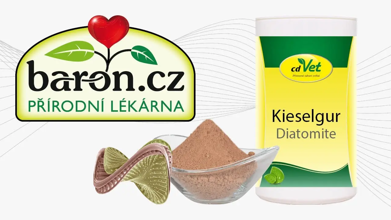 Náhled videa