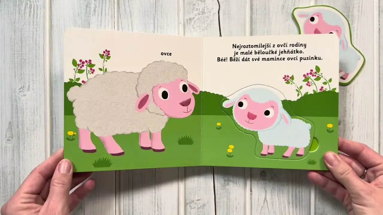 Náhled videa